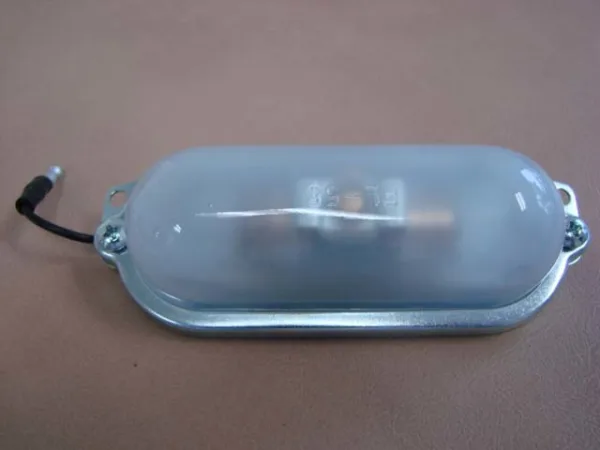 LICENSE LAMP ASSY THUNDERBIRD 55